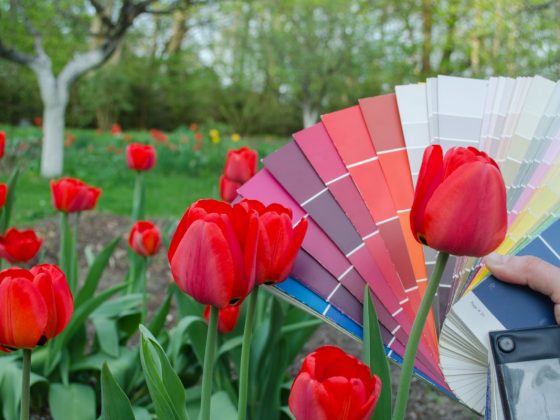 tulipany z paletą kolorów